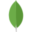 MongoDB Icon